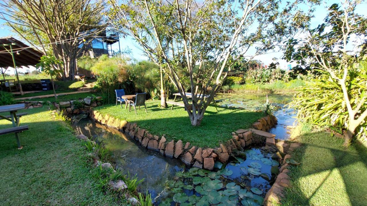 Yellow Haven Lodge Καμπάλα Εξωτερικό φωτογραφία
