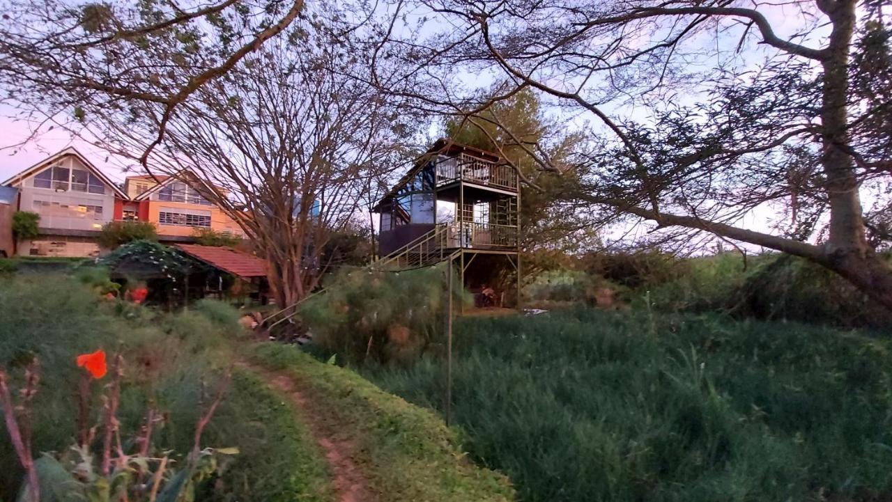 Yellow Haven Lodge Καμπάλα Εξωτερικό φωτογραφία