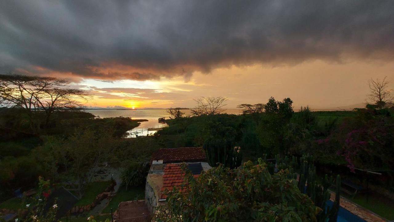 Yellow Haven Lodge Καμπάλα Εξωτερικό φωτογραφία