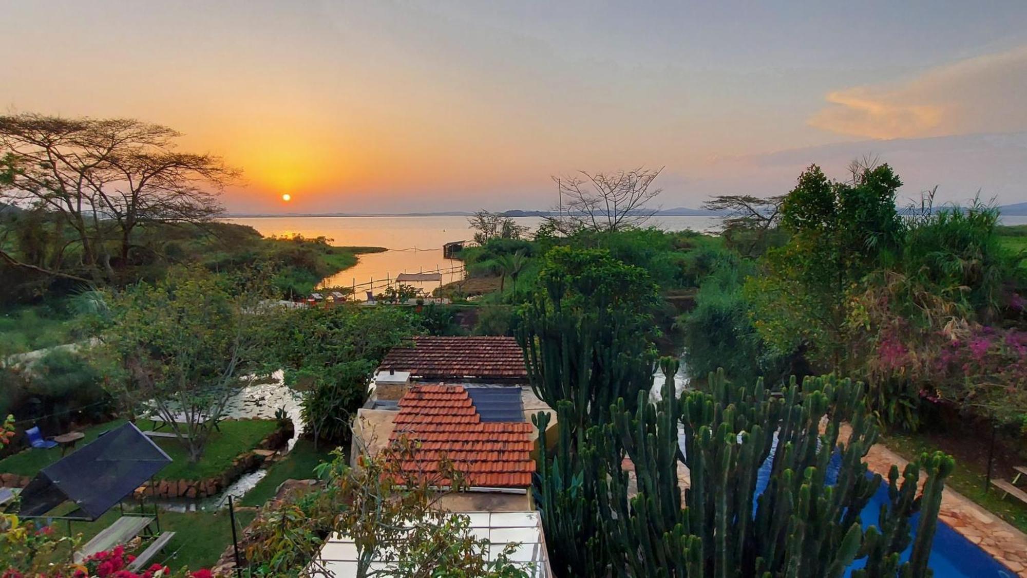 Yellow Haven Lodge Καμπάλα Εξωτερικό φωτογραφία