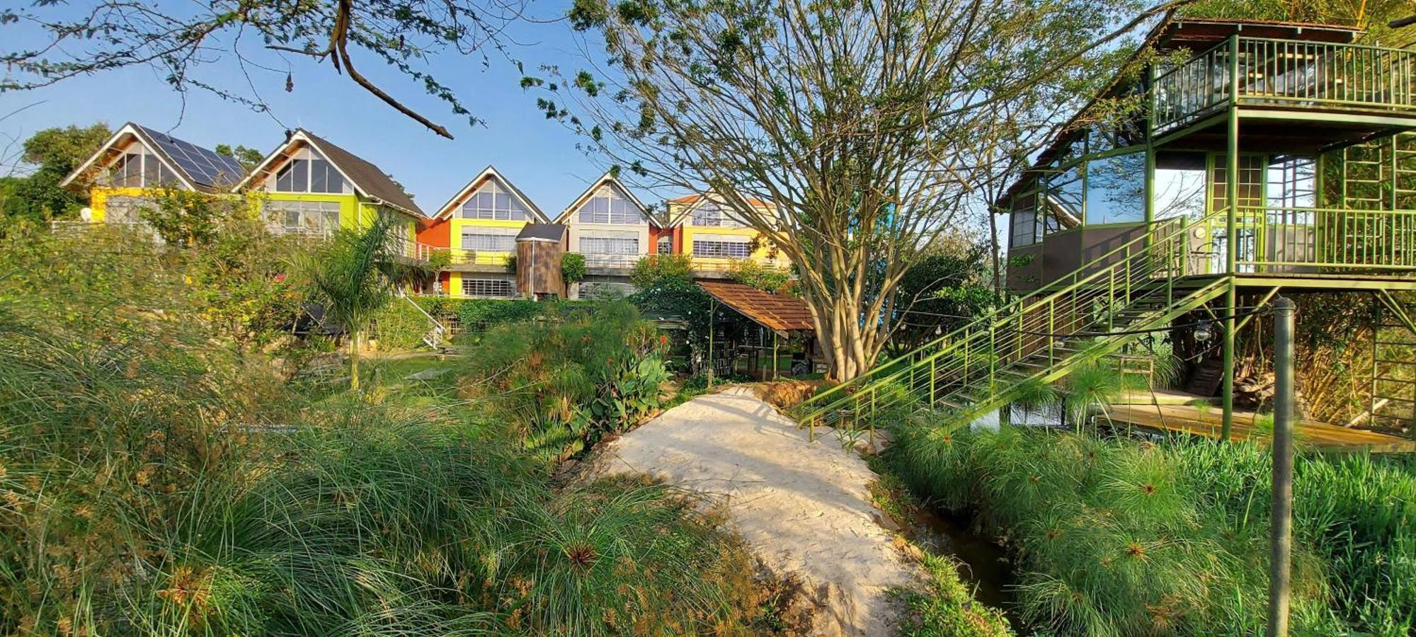 Yellow Haven Lodge Καμπάλα Εξωτερικό φωτογραφία