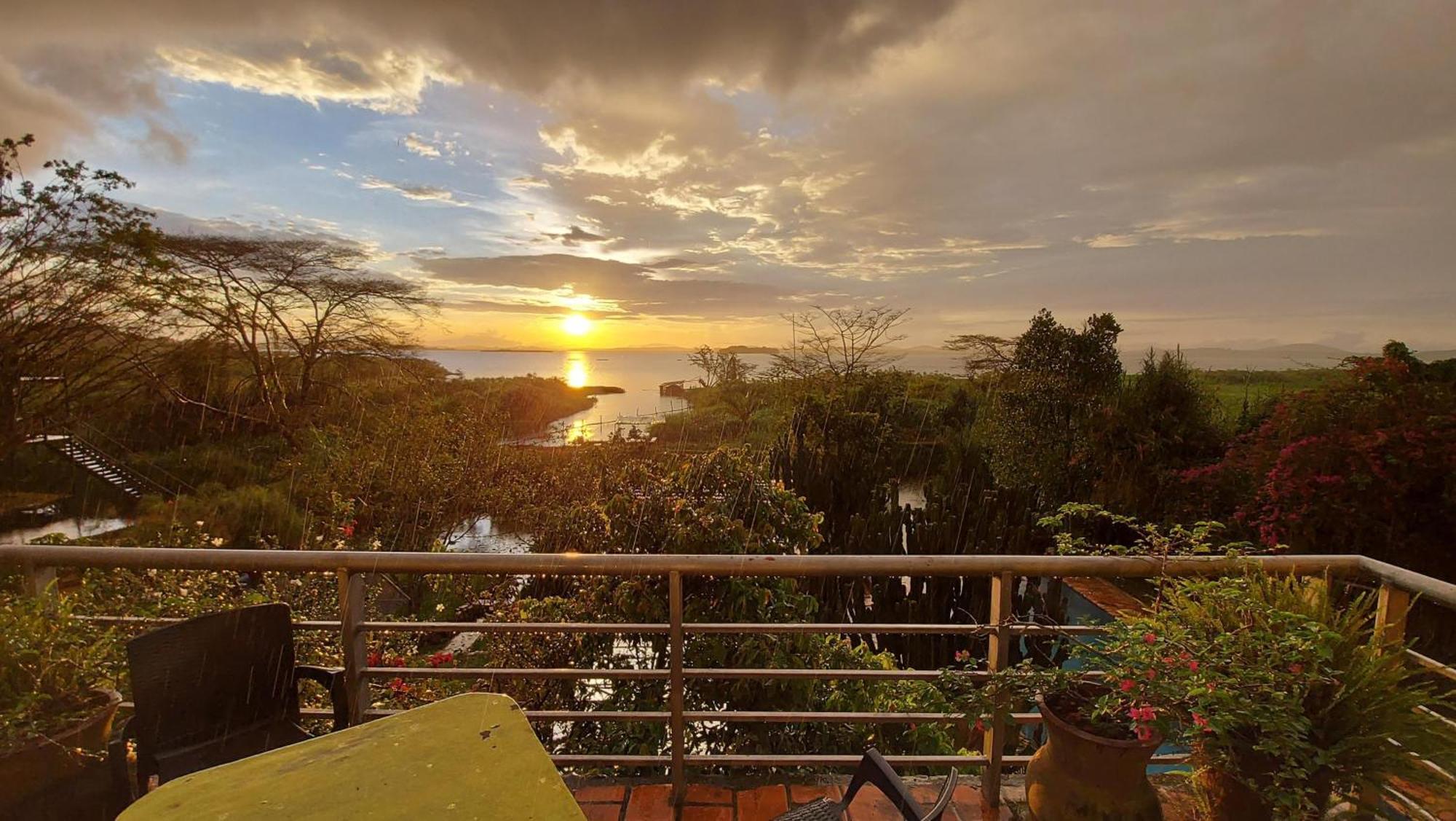 Yellow Haven Lodge Καμπάλα Εξωτερικό φωτογραφία