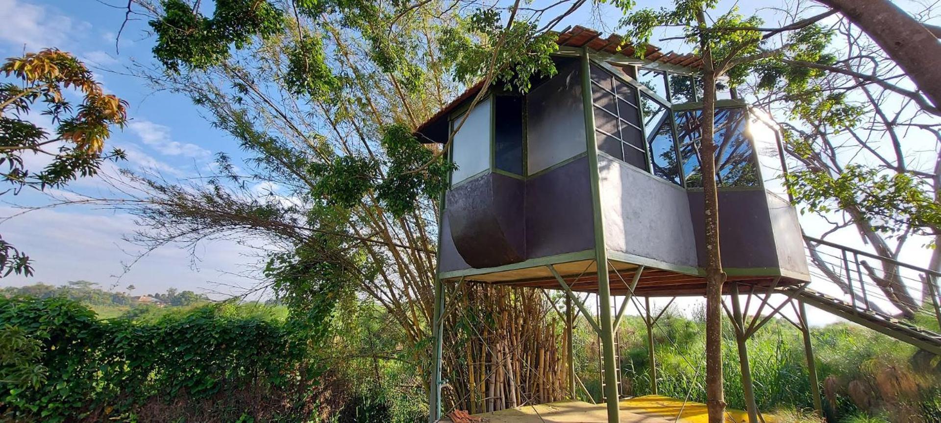Yellow Haven Lodge Καμπάλα Εξωτερικό φωτογραφία