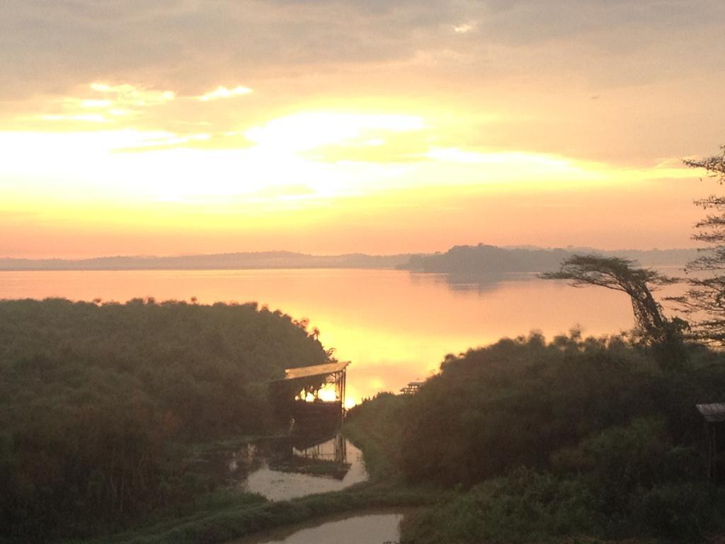 Yellow Haven Lodge Καμπάλα Εξωτερικό φωτογραφία