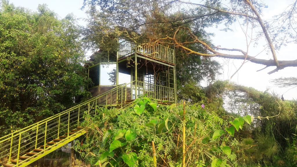Yellow Haven Lodge Καμπάλα Εξωτερικό φωτογραφία